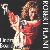 robert_plant_under_the_boardwalk_f.jpg